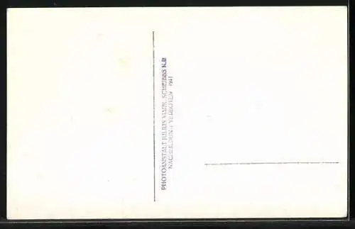 AK Steinakirchen a. Forst, Blick auf den Ort