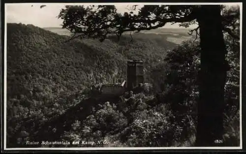 AK Pölla /N.-Oe., Schauenstein am Kamp, Blick auf die Ruine