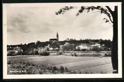 AK Spannberg /N. Ö., Ortspartie mit Kirche