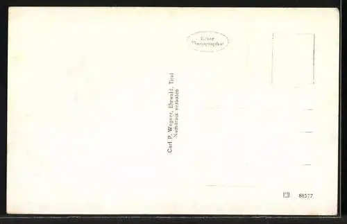 AK Ehrwald, Teilansicht mit Zugspitzmassiv, Unterdorf