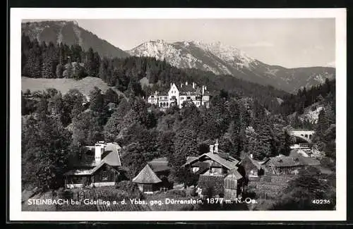 AK Göstling an der Ybbs, Jagdschloss Steinbach mit Blick auf Dürrenstein