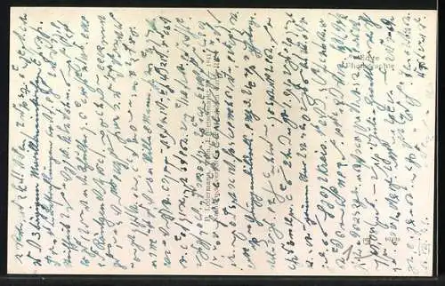 AK Kirchberg am Wechsel, Teilansicht vom St. Corona aus