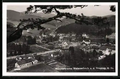 AK Weissenbach a. d. Triesting, Teilansicht mit Strassenpartie
