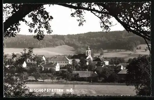 AK Bischofstetten /N.-Ö., Ortspartie mit Kirche