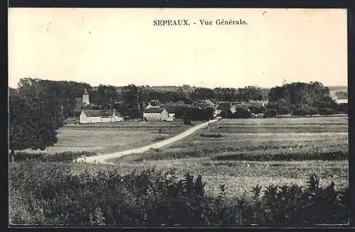 AK Sepeaux, Vue générale