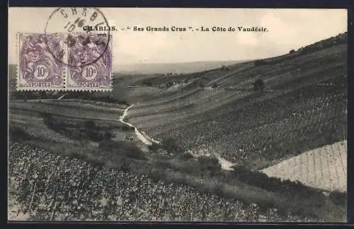 AK Chablis, Ses Grands Crus, La Côte de Vaudésir