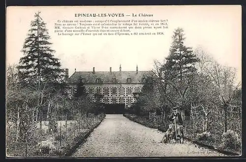 AK Epineau-les-Voves, Le Château et l`allée bordée d`arbres