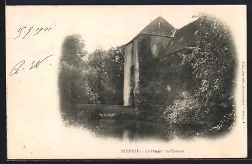 AK Bléneau, Le Donjon du Château