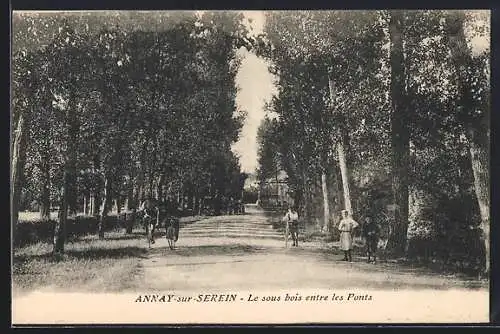 AK Annay-sur-Serein, Le sous bois entre les Ponts
