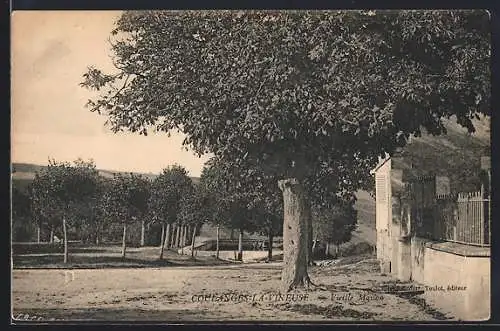AK Coulanges-la-Vineuse, Vieille Maison et allée d`arbres