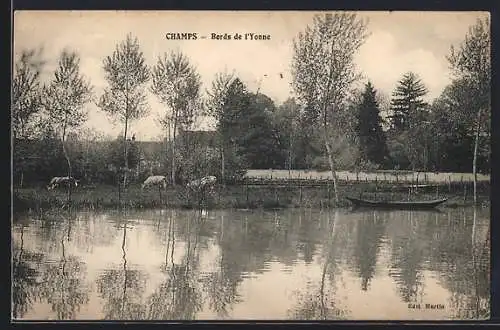 AK Champs, Bords de l`Yonne avec barque et vaches près de l`eau