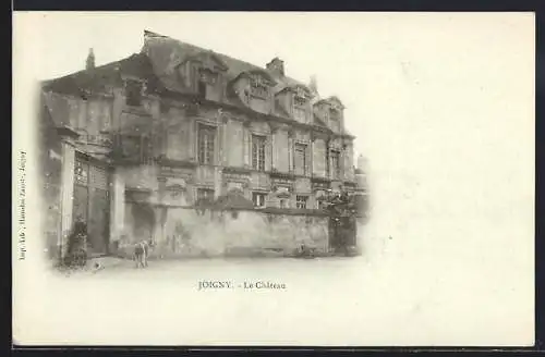 AK Joigny, Le Château