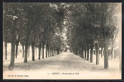AK Joigny, Promenade du Mail