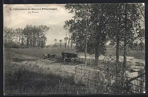 AK Villeneuve-la-Guyard, La Prairie