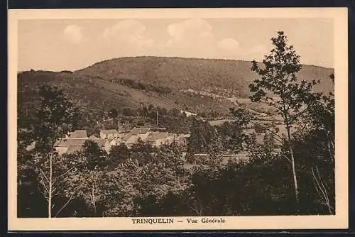 AK Trinquelin, Vue générale