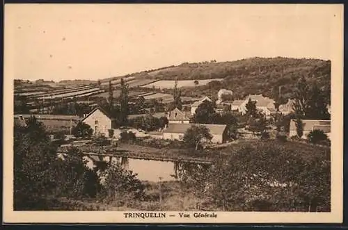AK Trinquelin, Vue générale