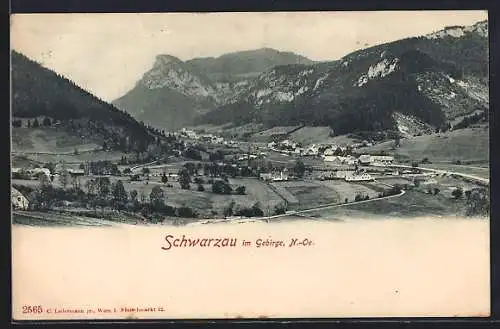 AK Schwarzau, Ortsansicht mit Gebirge