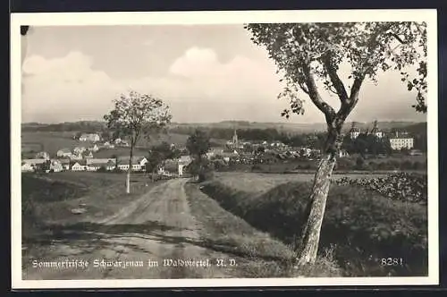 AK Schwarzenau im Waldviertel, Panorama mit Landweg