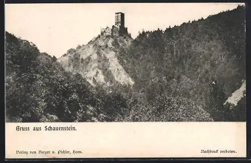 AK Pölla /N.-Oe., Schauenstein, Ruine mit Umgebung