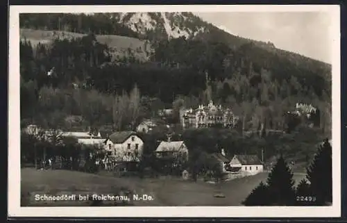 AK Reichenau an der Rax, Schneedörfl, Ortsansicht