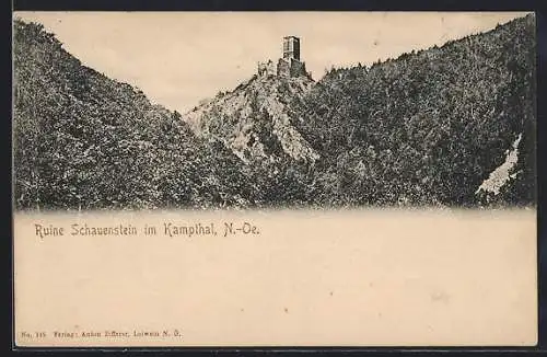 AK Pölla /N.-Oe., Ruine Schauenstein im Kampthal, Ortsansicht, Panorama