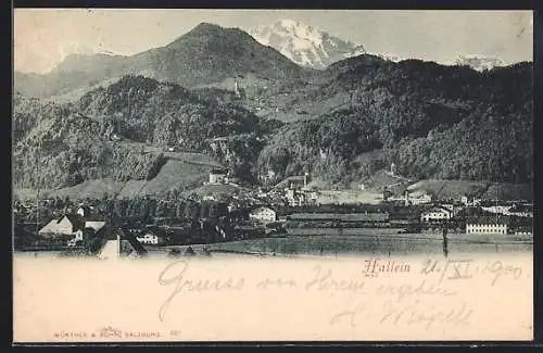 AK Hallein, Ortsansicht aus der Vogelschau