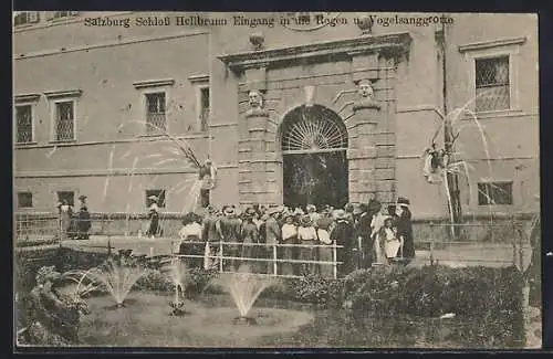 AK Salzburg, Schloss Hellbrunn, Eingang in die Regen u. Vogelsanggrotte
