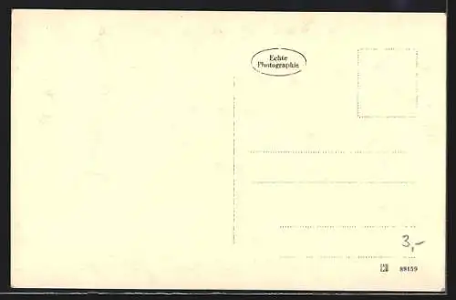 AK Fuschl a. See, Ortsansicht