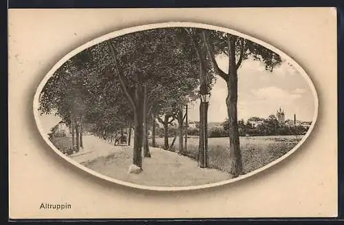 AK Altruppin, Strassenpartie mit Bäumen, Passepartout