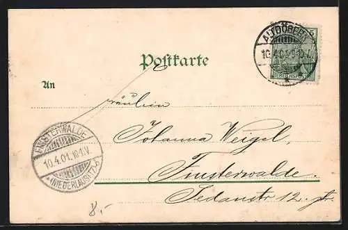 AK Alt Döbern, Krankenhaus