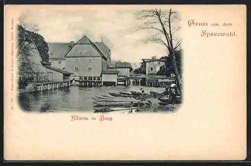 AK Burg /Spreewald, Mühle mit Booten