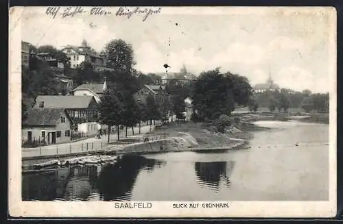 AK Saalfeld / Saale, Blick auf Grünhain