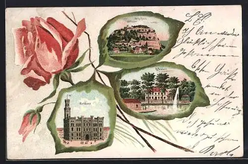 Passepartout-Lithographie Zittau, Berg Oybin, Rathaus mit Rose, Weinau