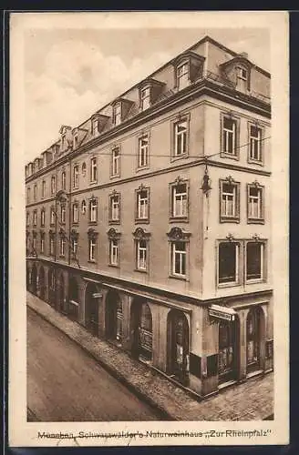 AK München, Schwarzwälders Gasthaus Zur Rheinpfalz in der Hartmannstr. 8