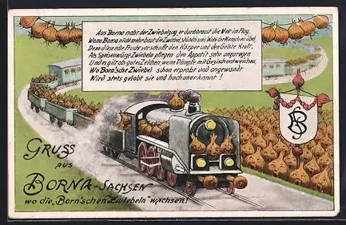 AK Borna / Sachsen, Zwiebelzug, Wappen