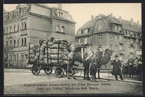 AK Dresden, Kriegswirtschaftl. Transportzentrale des Zirkus Sarrasani, Tabak für`s Feldheer, Beförderung durch Kamele