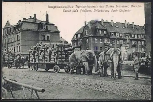 AK Dresden, Kriegswirtschaftl. Transportzentrale des Zirkus Sarrasani, Tabak fürs Feldheer, Beförderung durch Elefanten
