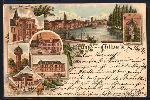 Lithographie Calbe a. S., Rathaus, Wasserturm, Amtsgericht, Landratsamt
