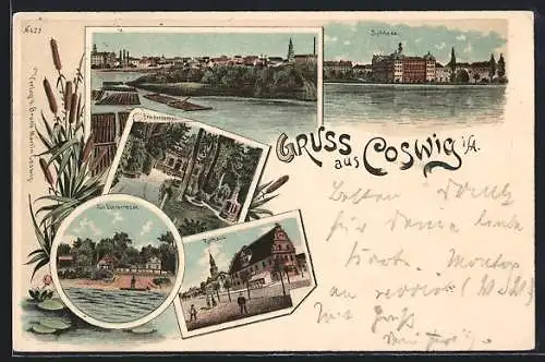 Lithographie Coswig / Anhalt, Schloss, Friederikenbaa, Rathaus, Zur Elbterrasse, Panorama