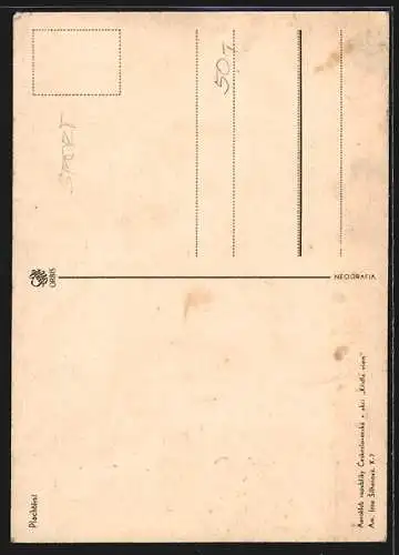 AK Gelandetes und in der Thermik dahingleitendes Segelflugzeug, Plachtenie