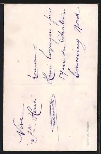 AK Flugzeug mit Blumen