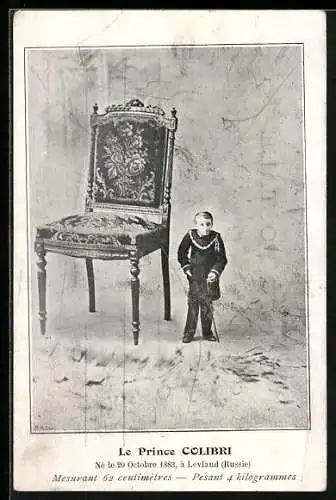 AK Le Prince Colibri, Mesurant 62 centimetres, pesant 4 kilogrammes