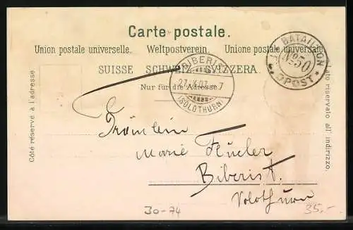 Lithographie Schweizer Soldaten in Uniformen im Lager, Soldatengruss