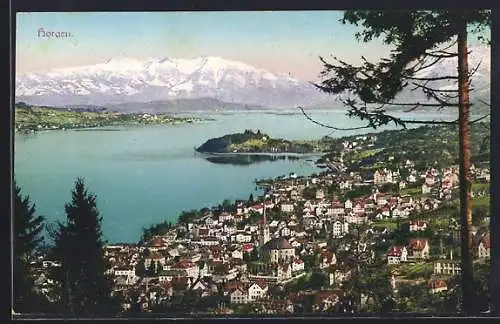 AK Horgen, Totalansicht mit See und Bergpanorama