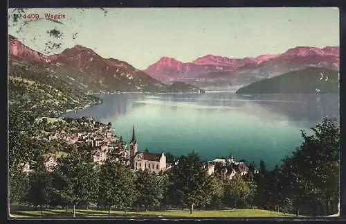 AK Weggis, Totalansicht mit See und Bergpanorama
