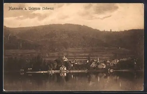 AK Mammern a. Untersee, Ortspanorama mit Umgebung aus der Vogelschau