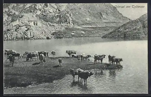 AK Grimsel am Todensee, Ortspartie mit Kühen