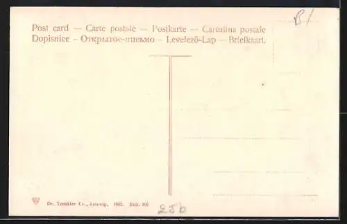 AK Grimsel am Todensee, Ortspartie mit Kühen