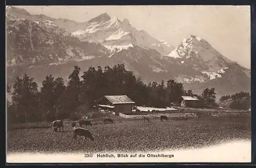 AK Hohfluh, Blick auf die Oltschiberge