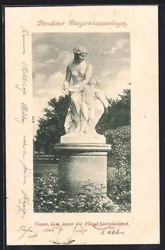 AK Dresden, Dresdner Bürgerwiesenanlagen, Venus-Statue